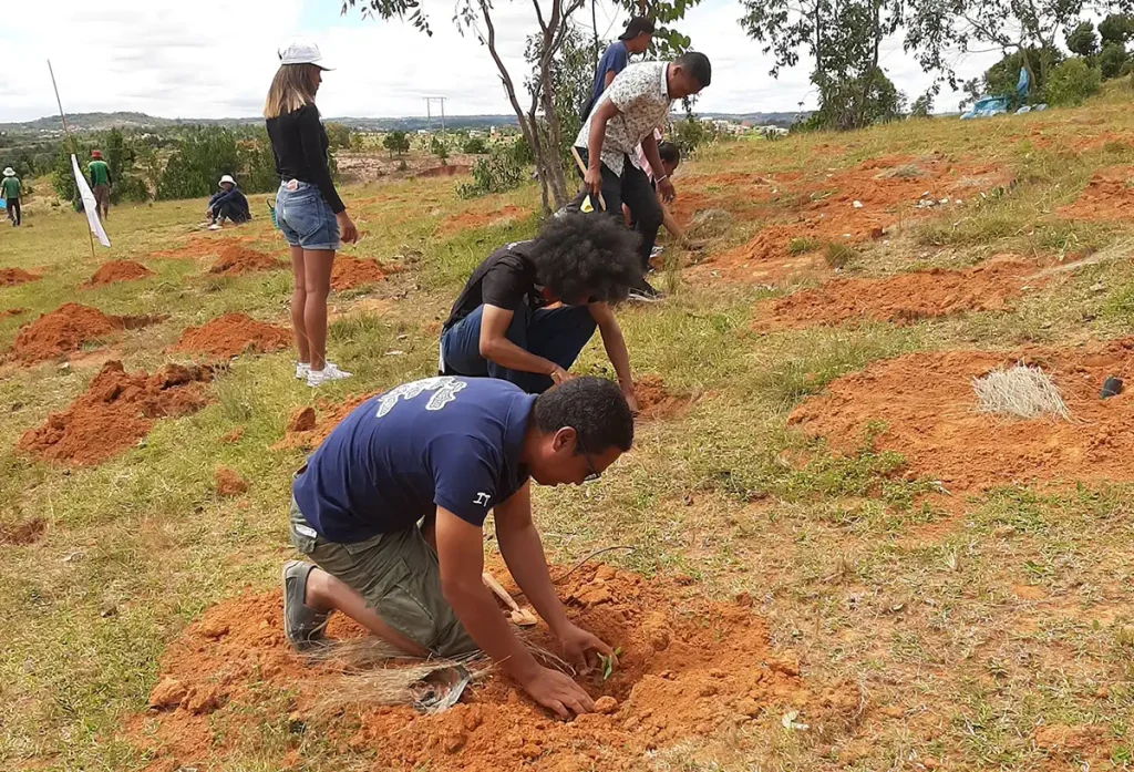 Reboisement - Ingedata 2